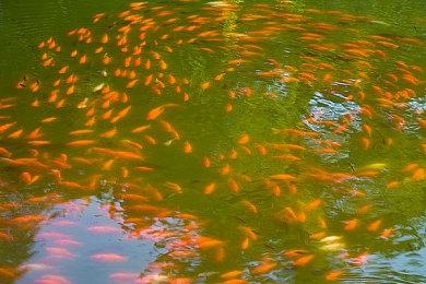 《叛乱：沙漠风暴》最新免费更新“玻璃屋行动”今日在PC和主机上推出