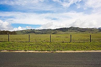 《勇者斗恶龙：达伊的大冒险》预购开启 新预告发布