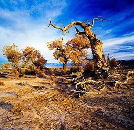 雅达利推出传奇设计师三款未售作品 设计师：我没做